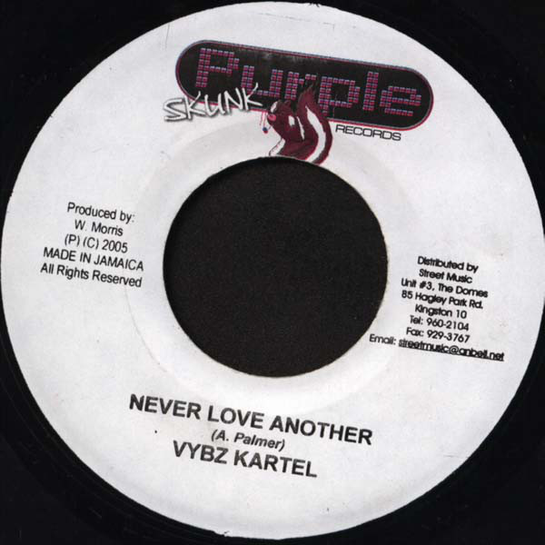 Vybz Kartel - Never Love Another (7