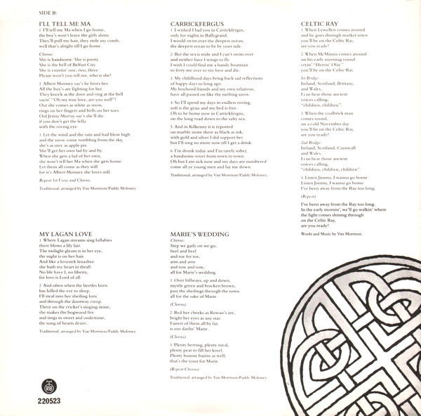 Van Morrison & The Chieftains - Irish Heartbeat (LP, Album)