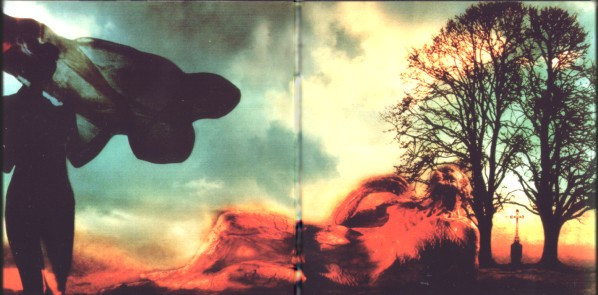 Anyone's Daughter - Piktors Verwandlungen (LP, Album)